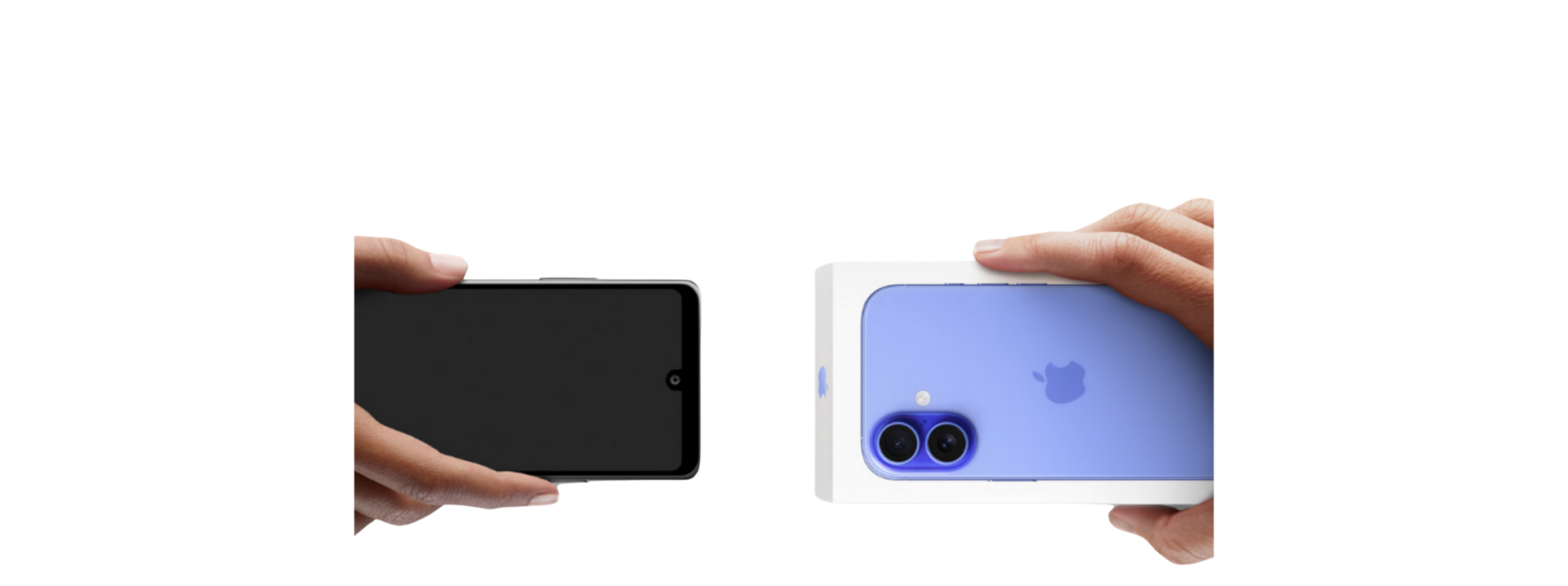 Uzman yardımı.  Veri aktarımı. Ve çok daha fazlası